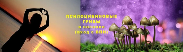 бошки Нефтегорск