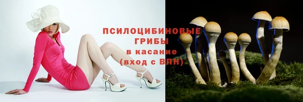 бошки Нефтегорск