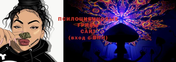 бошки Нефтегорск