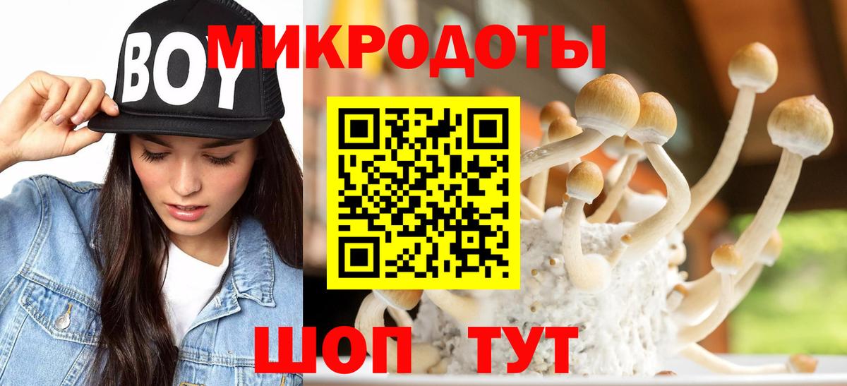 Псилоцибиновые грибы Cubensis Кумертау