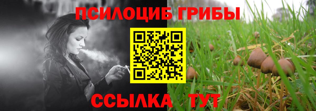 Кумертау  Галлюциногенные грибы MAGIC MUSHROOMS  Вход с VPN 